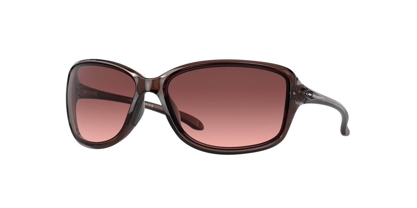 Cohort Sunglasses