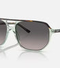 Bill One Sunglasses