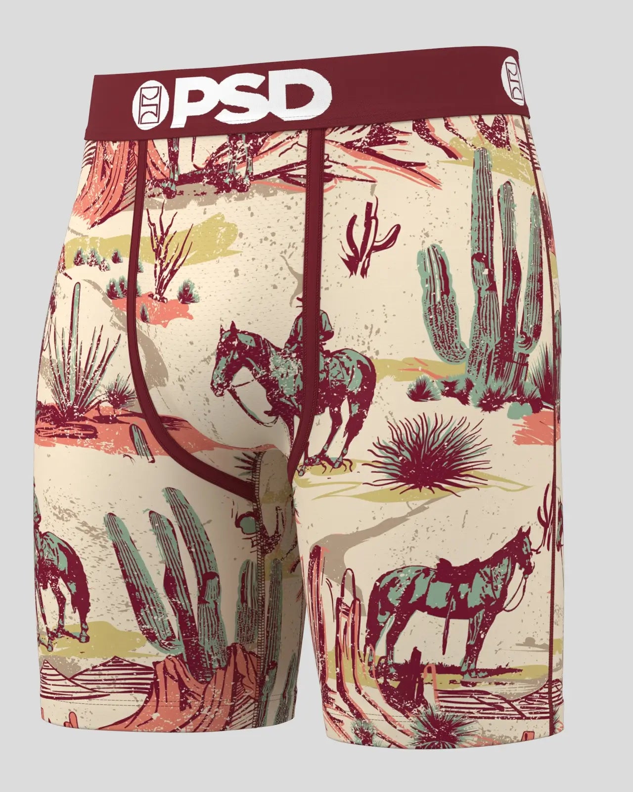 PSD Core Standard