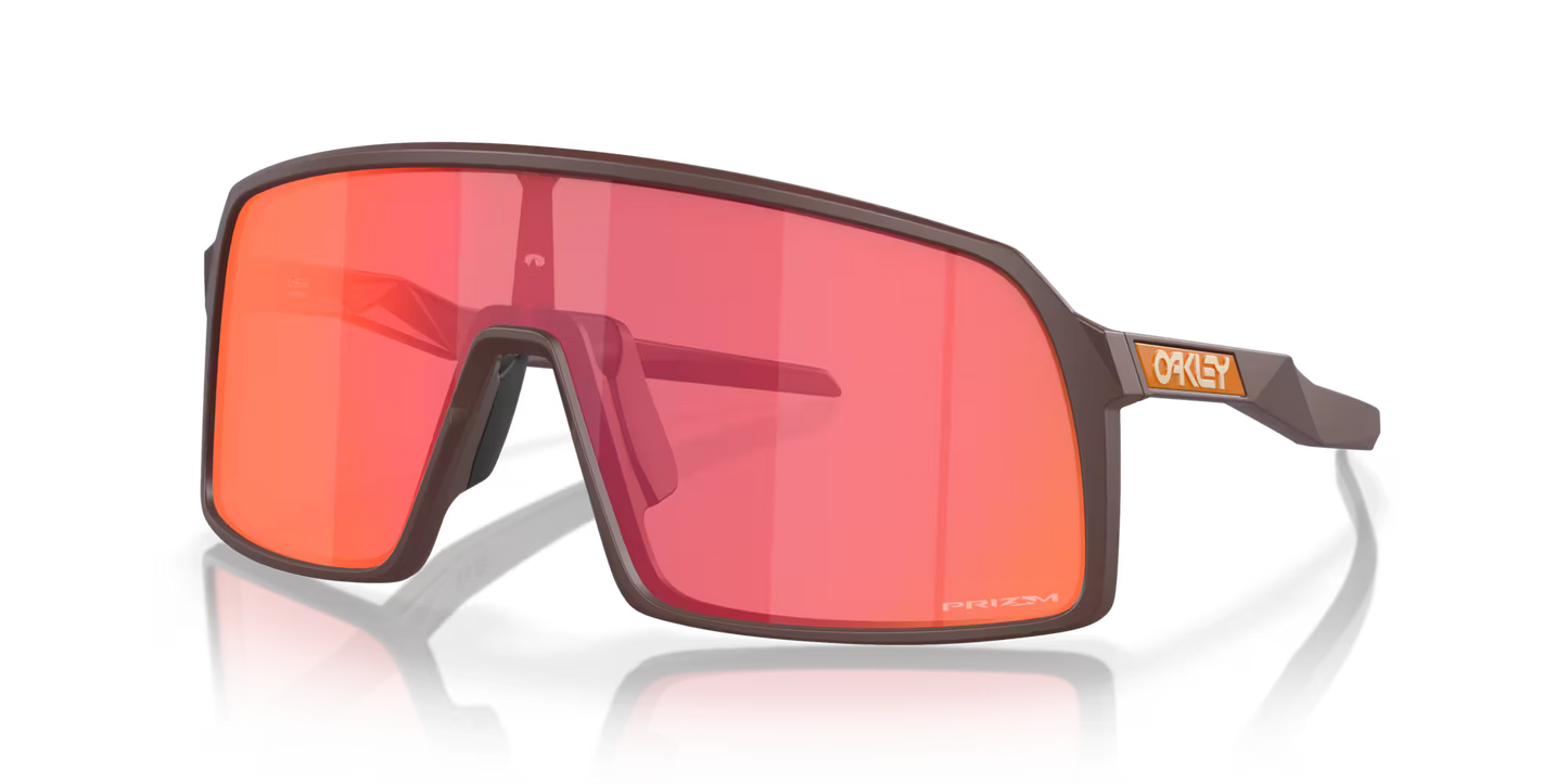 Sutro Sunglasses