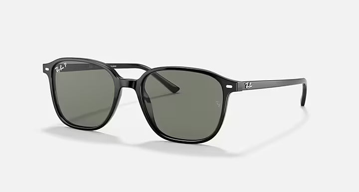 Ray-Ban Leonard Sunglasses