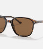 Ray-Ban Leonard Sunglasses
