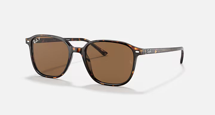 Ray-Ban Leonard Sunglasses