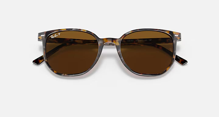 Ray-Ban Elliot Sunglasses