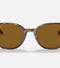 Ray-Ban Elliot Sunglasses