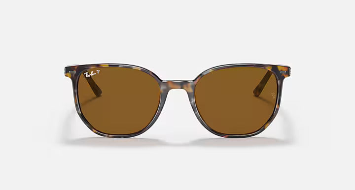 Ray-Ban Elliot Sunglasses