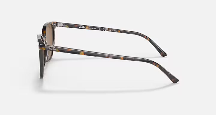 Ray-Ban Elliot Sunglasses