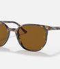 Ray-Ban Elliot Sunglasses