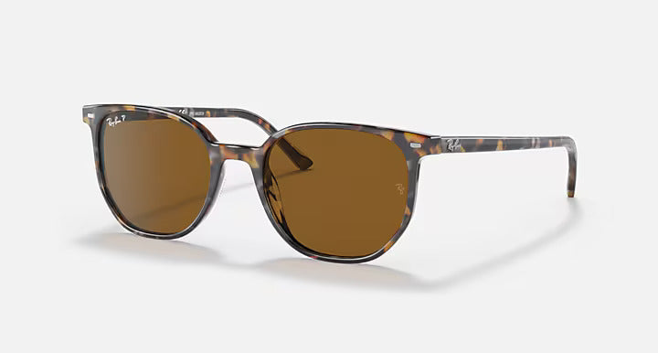 Ray-Ban Elliot Sunglasses