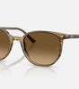Ray-Ban Elliot Sunglasses