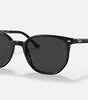 Ray-Ban Elliot Sunglasses