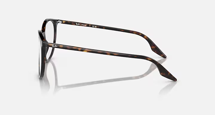 Ray-Ban RB2204 TRANSITIONS® Sunglasses