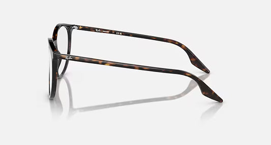 Ray-Ban RB2204 TRANSITIONS® Sunglasses