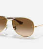 Ray-Ban Cockpit Sunglasses