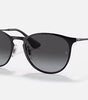 Ray-Ban Erika Metal Sunglasses