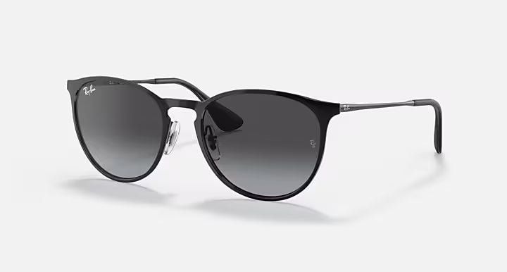 Ray-Ban Erika Metal Sunglasses