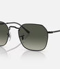 Ray-Ban Jim Sunglasses