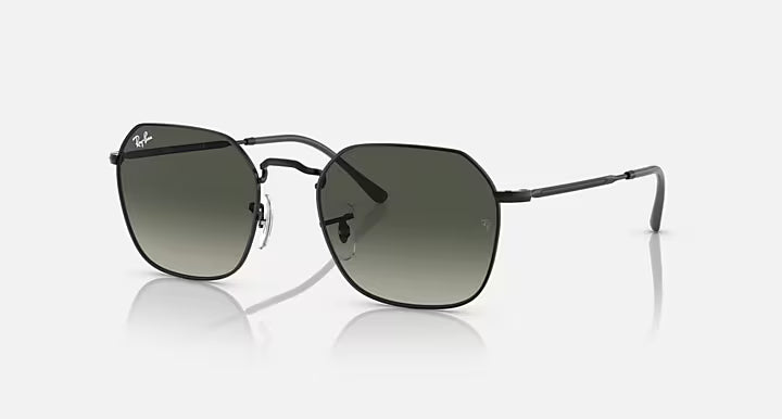 Ray-Ban Jim Sunglasses