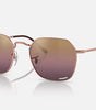 Ray-Ban Jim Sunglasses