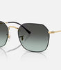 Ray-Ban Jim Sunglasses