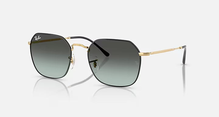 Ray-Ban Jim Sunglasses