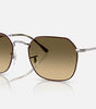 Ray-Ban Jim Sunglasses