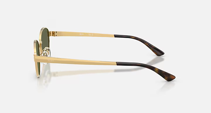 Ray-Ban Women's RB3774D Sunglasses