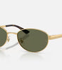 Ray-Ban Women's RB3774D Sunglasses