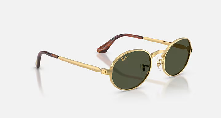 Ray-Ban RB3931 BY A$AP ROCKY Sunglasses