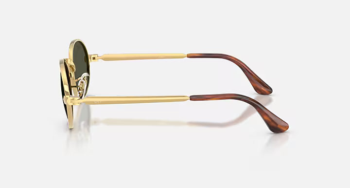 Ray-Ban RB3931 BY A$AP ROCKY Sunglasses