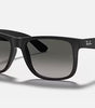 Ray-Ban Justin Sunglasses