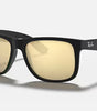 Ray-Ban Justin Sunglasses