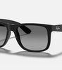 Ray-Ban Justin Sunglasses