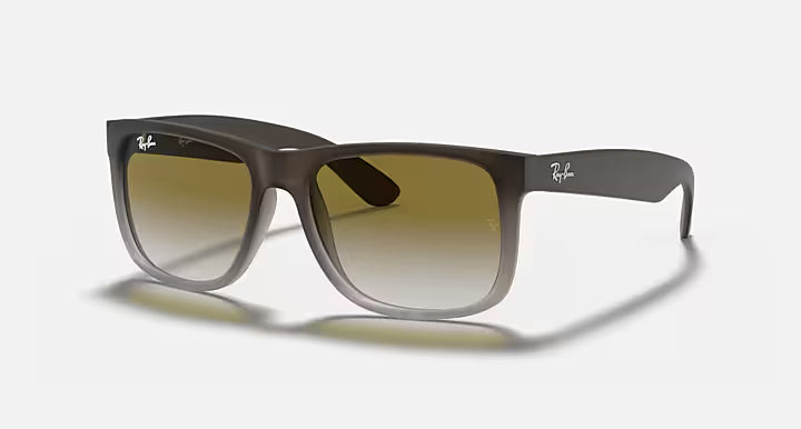 Ray-Ban Justin Sunglasses