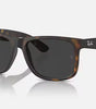 Ray-Ban Justin Sunglasses