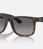 Ray-Ban Justin Sunglasses