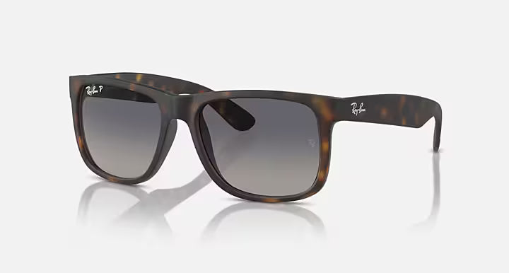 Ray-Ban Justin Sunglasses
