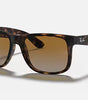 Ray-Ban Justin Sunglasses