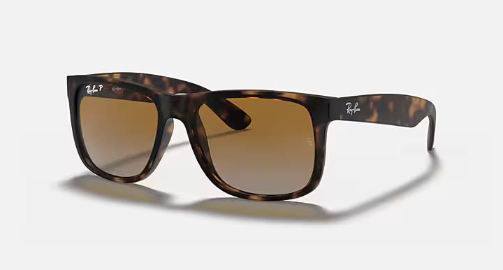 Ray-Ban Justin Sunglasses