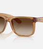 Ray-Ban Justin Sunglasses