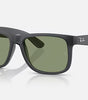 Ray-Ban Justin Sunglasses