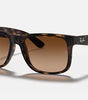 Ray-Ban Justin Sunglasses