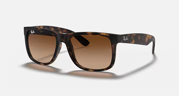 Ray-Ban Justin Sunglasses