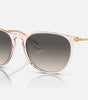 Ray-Ban Erika Sunglasses