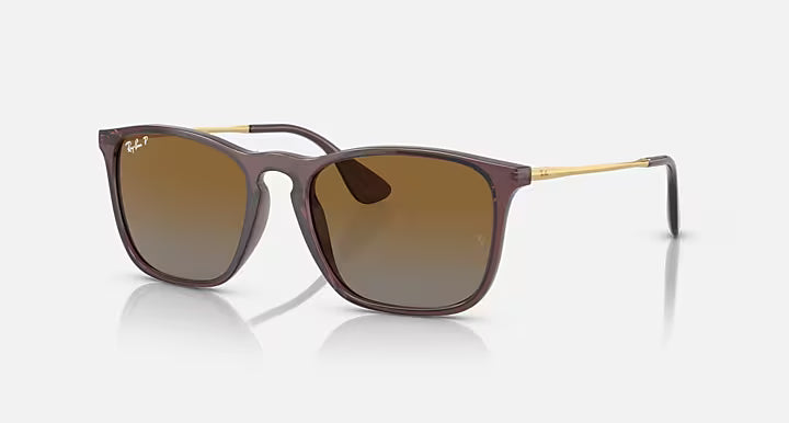 Ray-Ban Chris Sunglasses