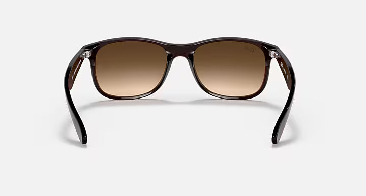 Ray-Ban Andy Sunglasses