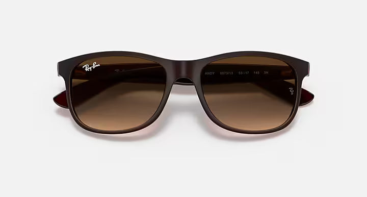 Ray-Ban Andy Sunglasses