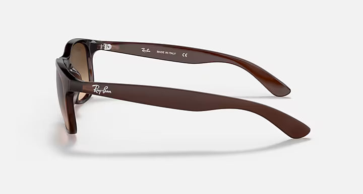 Ray-Ban Andy Sunglasses