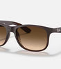 Ray-Ban Andy Sunglasses