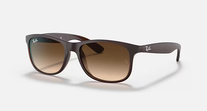 Ray-Ban Andy Sunglasses